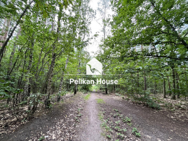 Działka Sprzedaż Warszawa Wawer 20