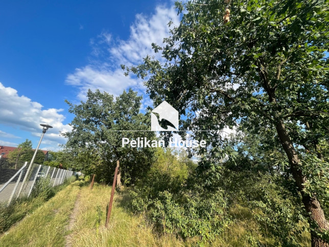 Działka Sprzedaż Warszawa Wawer 5